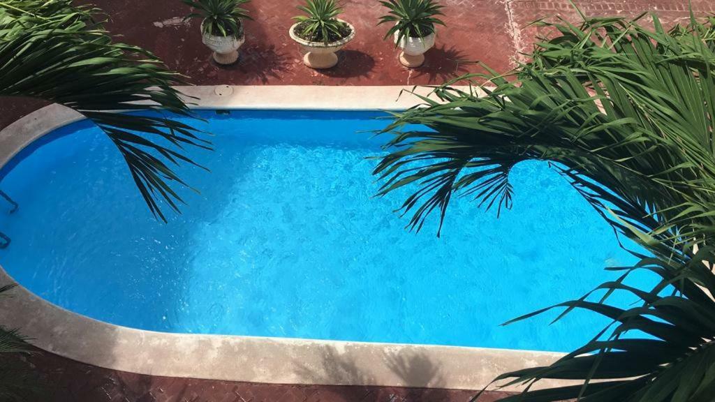 Arcoiris Share Apartment Bavaro Punta Cana Exteriör bild